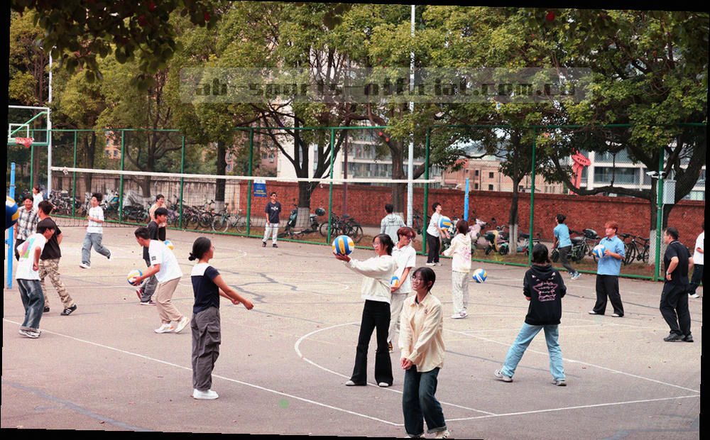 抽象信息面板与跑道刻度结构图，青绿与青柠色块分布，画面中没有具体界面文字